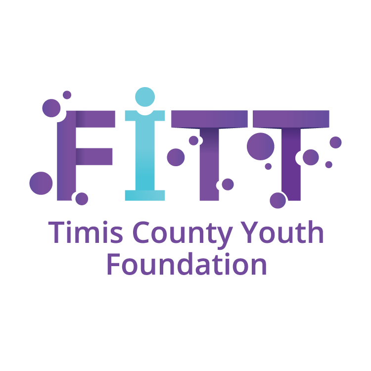 FITT (Timis County Youth Foundation)