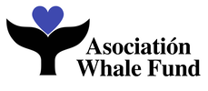 Asociatión Whale Fund
