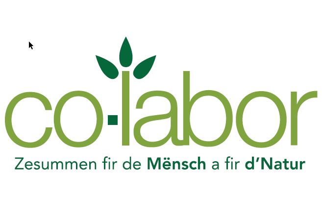 Logo Co-Labor