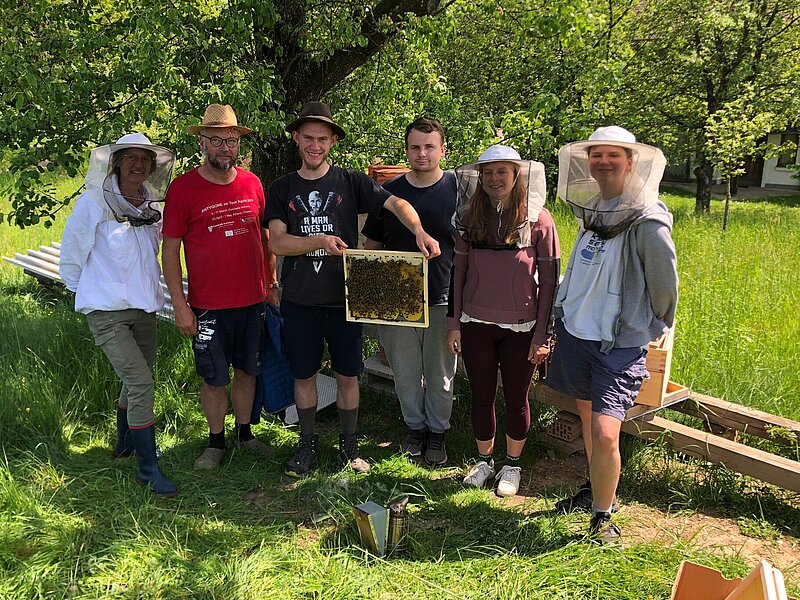 Image Healthy Living: Summer, Sun, and Homemade Goodness: A Volunteer Project for Nature Lovers