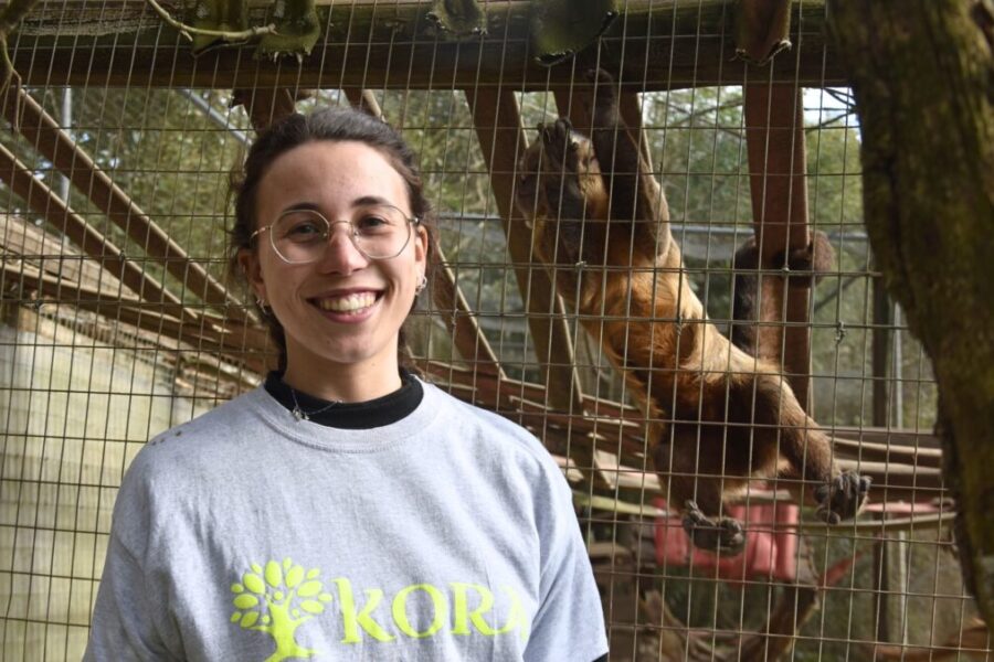 Image Kora ESC open calls