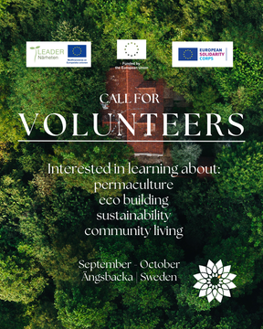 Image ESC volunteering TEAMS 2026  – Forest village eco-construction project